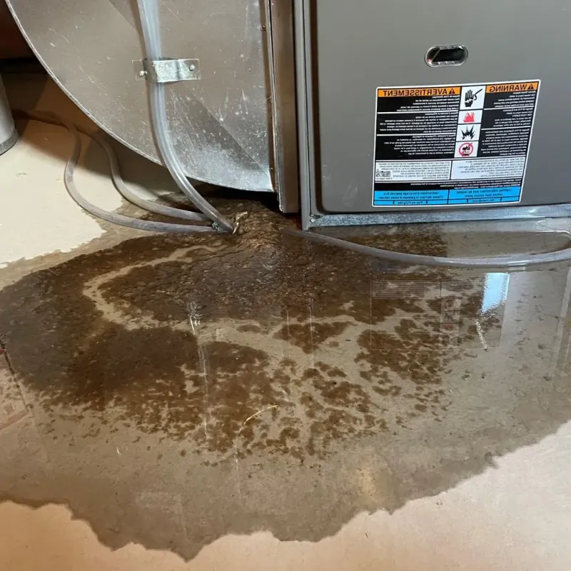 Pipe Burst and Leak Restoration in Orange, NJ