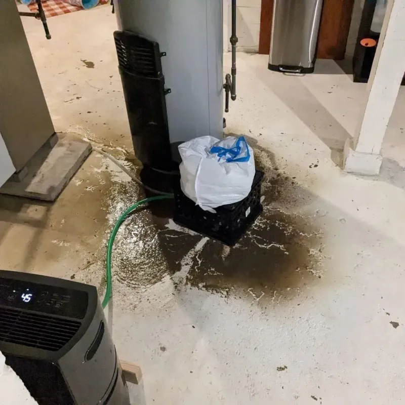 Sewage Backup Cleanup Service in Orange, NJ